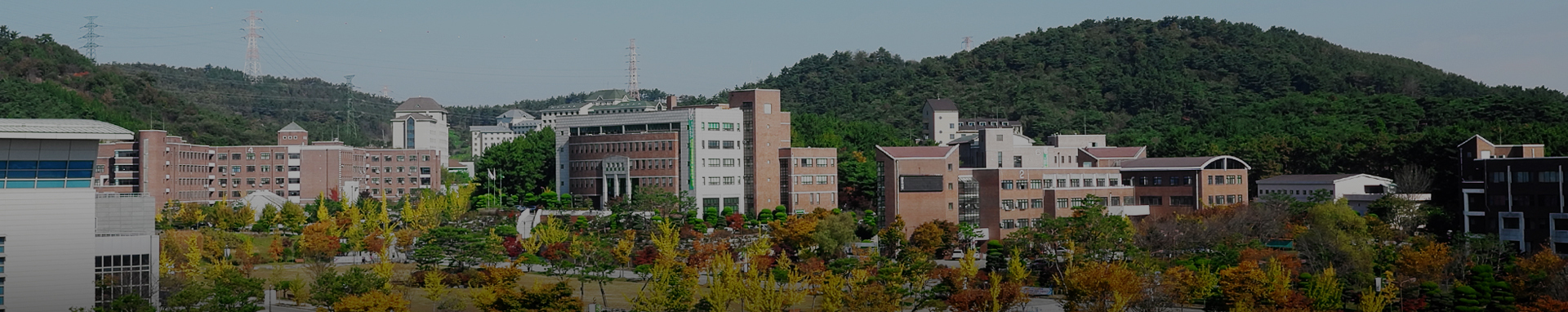 호원대학교 교육성과혁신센터 조직도